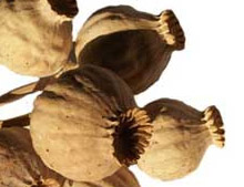 � ������ ���������� ������ ����� ��������� 