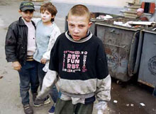 49 ������ = 14 ��������������