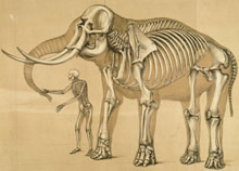 ���������� ���� �� ����� �������� ��� � �� ����� � �������