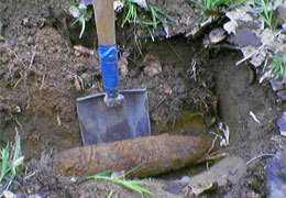 � ���� ������� �������� � ������� ���� ���������� 231 ��������� ������ ���