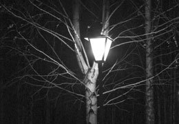 �� ������� ���������������� ����� �������