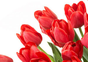 ������� �������� ������������� ������� ����