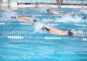 � ��������������� ������� ������ �� 17 ��������