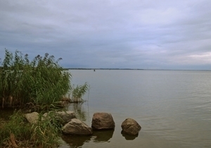 ����� � ������ ����������� ����� ���� ������ �� ������