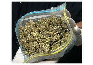 � ����������������  �������� ������� ������������� � �������� �����������