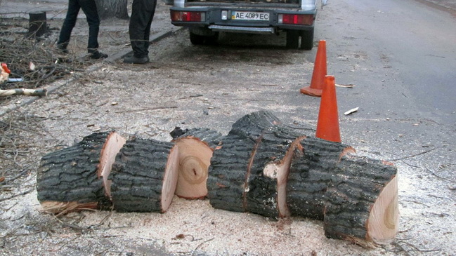 � ��������� ������� ������� ��������� ������������ �� ����������� �������� �� ������ ������