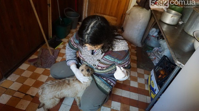 ������� �������� � ���������