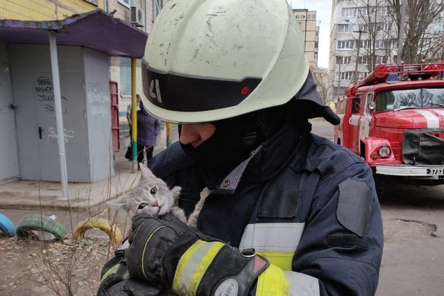 � ������ ���������� ���� ���������� �������� �������� ����� �������