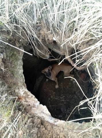 � ������ ���������� ���� ������ ����� �����