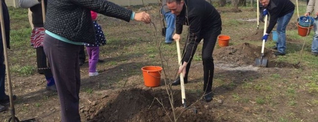 � ����������� ���������� ������� � �����������