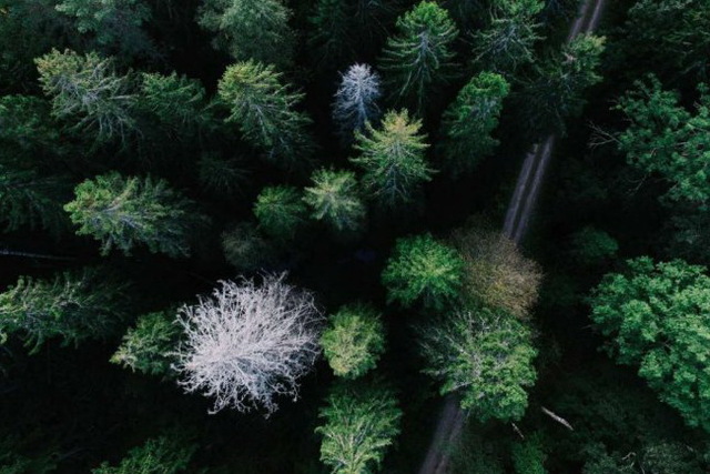 �� ���������� ������������ ������� ������� 20 ����� ����