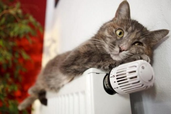 � ��������� ����������� ������������ �����