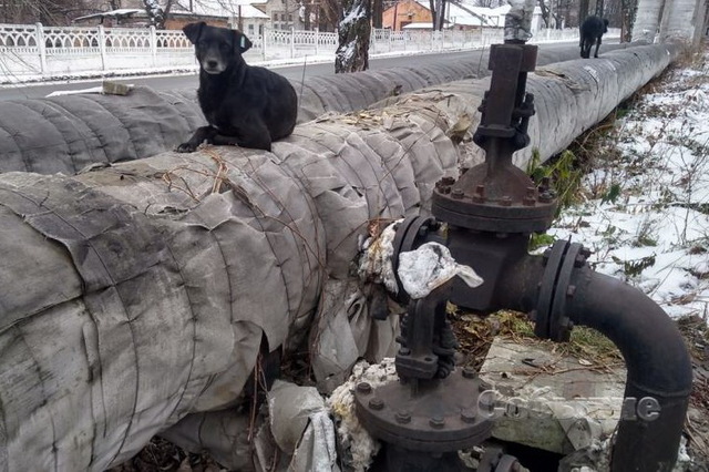 � ���� ���� �� ��������� ��������� ��������� ����� � ��������� �������� ����� 67 ��������� ������