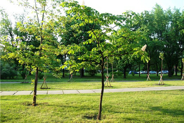 ���� � ����������� ���������� �� �������� ������� �� ��������� ������� ���������