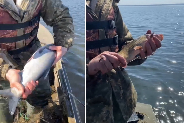 В Кривом Роге рыбоохранный патруль достал сети браконьеров из водоёма и раздал рыбу людям