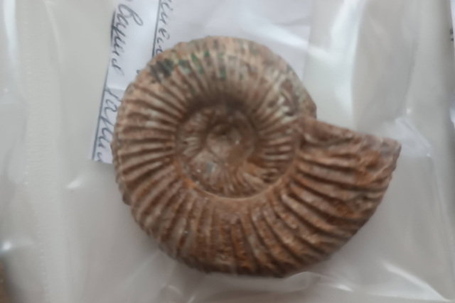 ������������� ����� ������ �������� ��������� ������������������ ����������