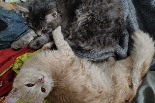 Туристический центр Днепра приглашает поучаствовать в необычном весеннем фотоконкурсе