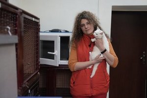 ��� �������� �� ������ ���������� �����. ������ ������������ � ���������� ��������� ���������� ������ ����������� ������