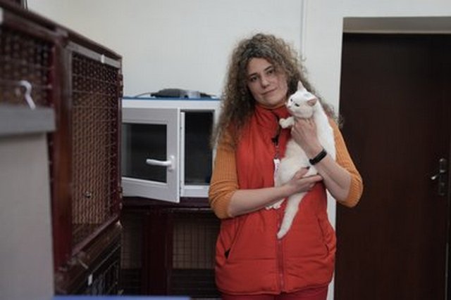 ��� ���������� ������� �������� �����. ���� ���������� �������� ������� ��������� ������ �������� ������