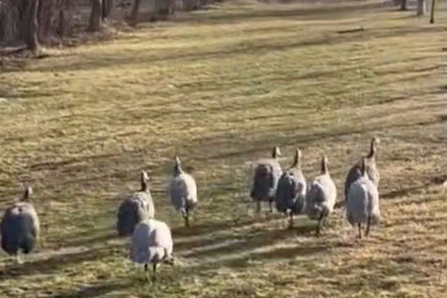 � ������ ���� ������������ ���� ������������ �� ����������