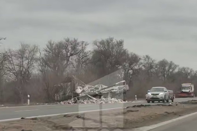 ������� ��� �� ���� ������� - ������ г�: ��������� DAF, Mercedes �� Skoda