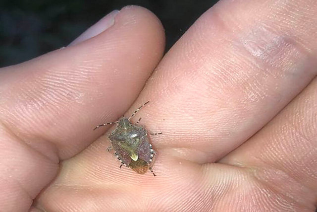 � �������� ������� ������������� �������� �����: � ��� �� ��������