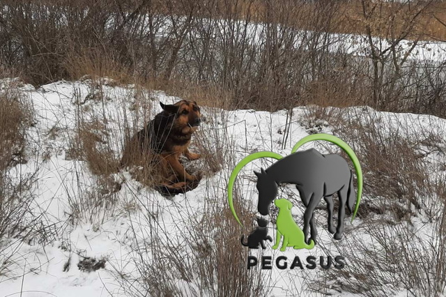 �������� ������  ������� ���!