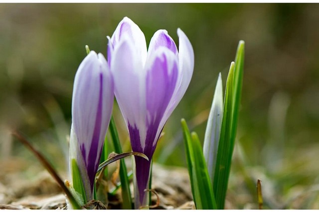 До 17 градусов тепла и без осадков. Какой будет погода на Днепропетровщине на этой неделе