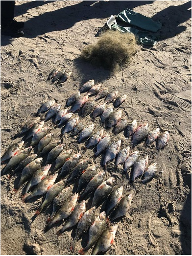 �� ����������� ������������� ���������� ������� 10 �� ����, ������ ����� ����� ��� �� 140 ���. ���