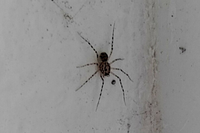 �� ���������������� ���������� ��������� ������