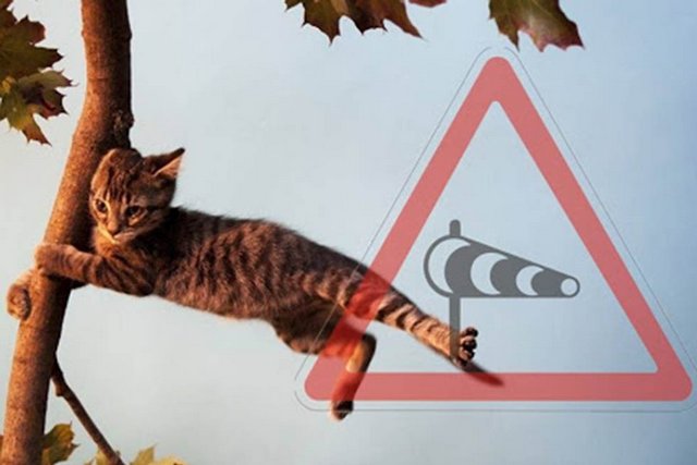 ��������! � ����������� � ������ � ������� ��������� ������ �������� �����