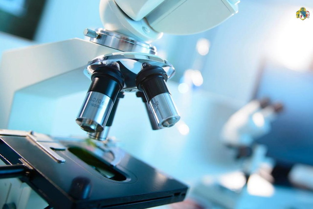 �������� �������� � ������: ������ ������� �������