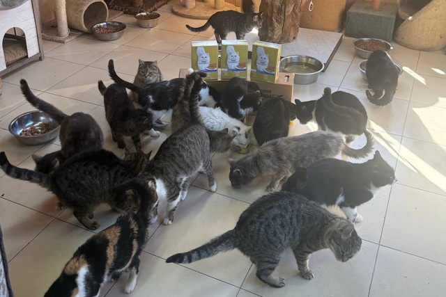 �������� ������ �������� ����� ������� ����� ��� ������