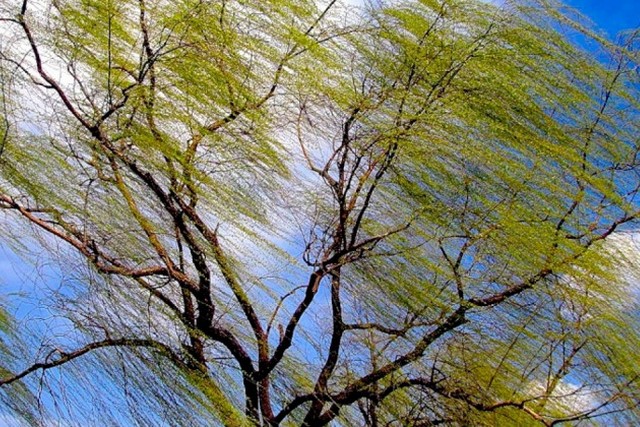 Незначне похолодання: прогноз погоди на тиждень по Дніпропетровщині