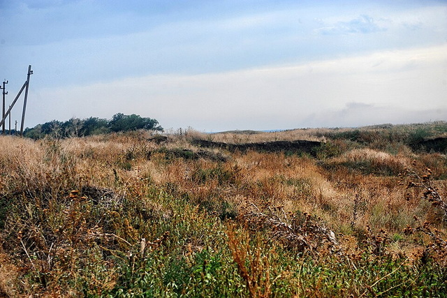 ���������� �������� ���������������� ��������� ����� 22 �������!