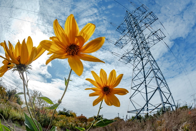 �������� �� ����� ���� ����������� ����������� �� ����������� ������� ��������