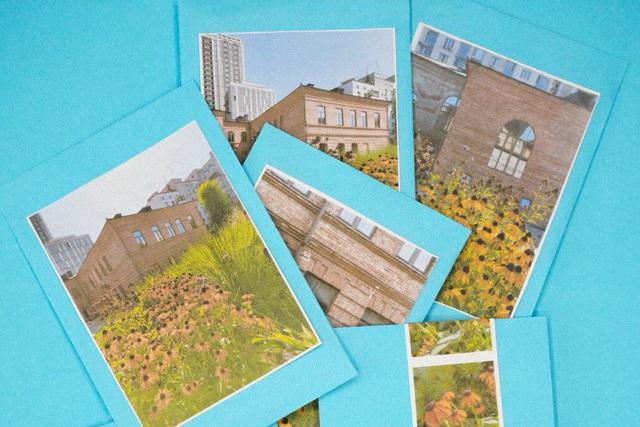 ����� ����������� �������� ������ ����� ������� �����