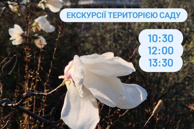 ������ ��� ���������� ����������� ������������ �������