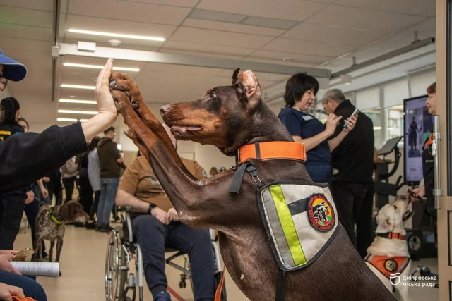 Нашла более 170 человек: умерла собака-спасательница с Днепропетровщины