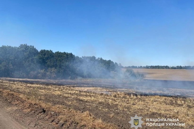 На Дніпропетровщині судитимуть фермера, який навмисне підпалив стерню після збирання врожаю