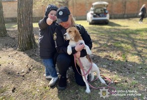 ������� �������: ����������� � �� ������������ ��������� �������� ����� � ���������� ���� ����� � ���������