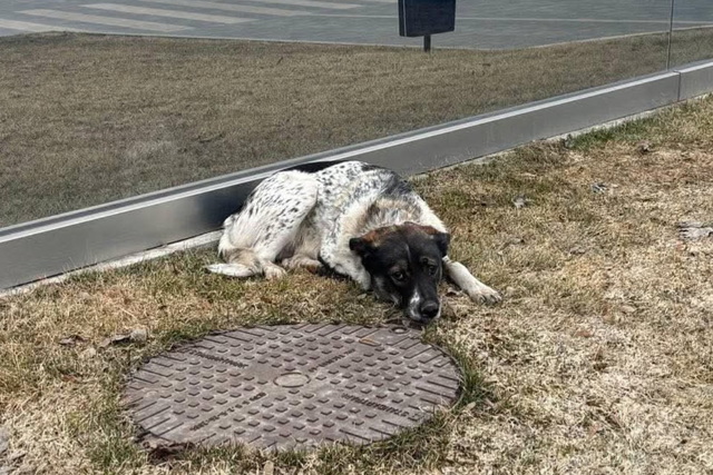 ������������ �������� ������ �����, ������ ������� ����� � ����� ������� � ���