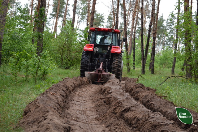 ˳�� ���������������� ������������ �� ����� ����� �������