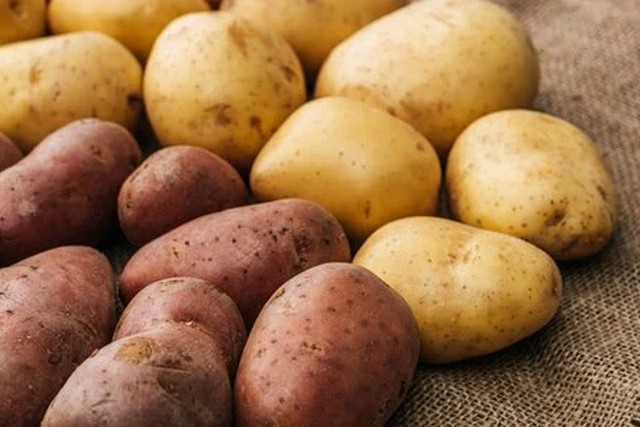 В Україні обвалилися ціни на картоплю: скільки вже коштує кілограм