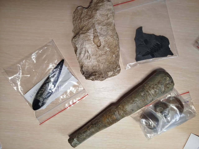 ������������� ����� ������ �������� ������������������ ���������