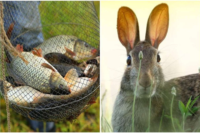 �� ���������������� �������� �������� � ������ �������� � �����