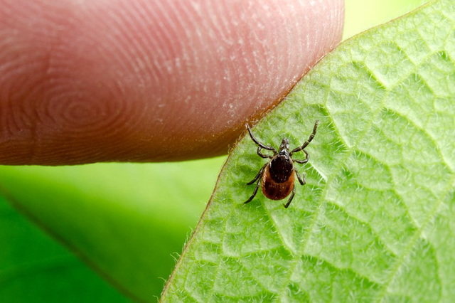 �� ���������������� ���������� ���� � �����