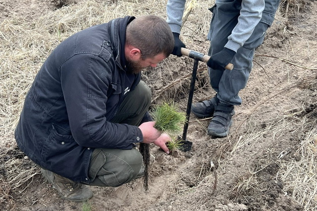 ���� ����������� ���������� ��� � ����������� ������