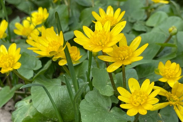 ��������� �����, �����, �� 20� �����. ����� ������ ������������ �� ���������������� � ������ ������