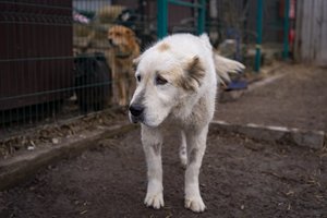 ���� �������� ����������� ��� ��� ������. � ����� �� ����������� ������������ ������� ����